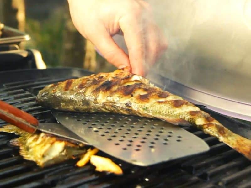 fish on a gas grill