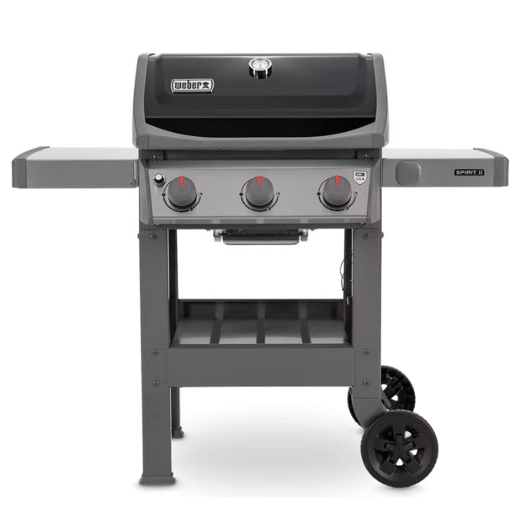 Weber Spirit II E-310