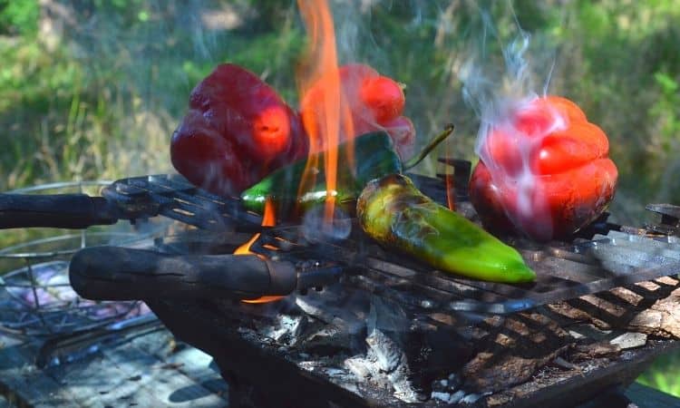 vegetables on a hibachi grill