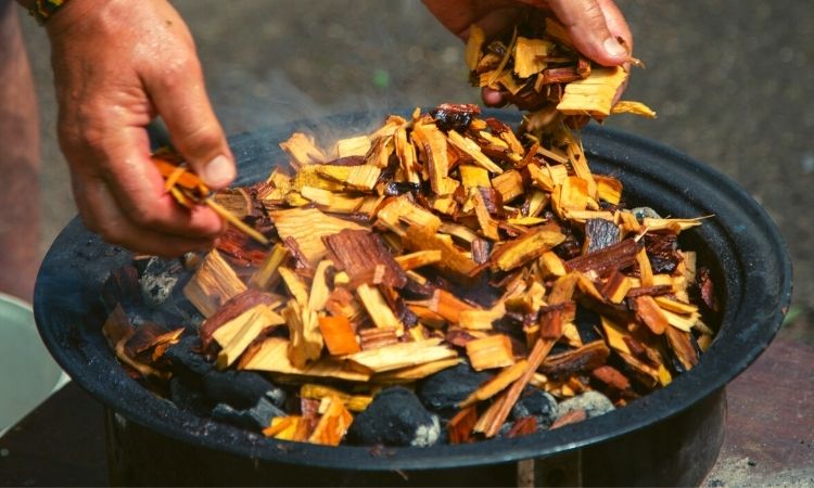 Best Wood Chips for Smoking Salmon