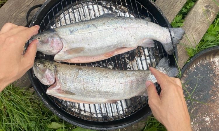 smoking salmon with alder wood chips