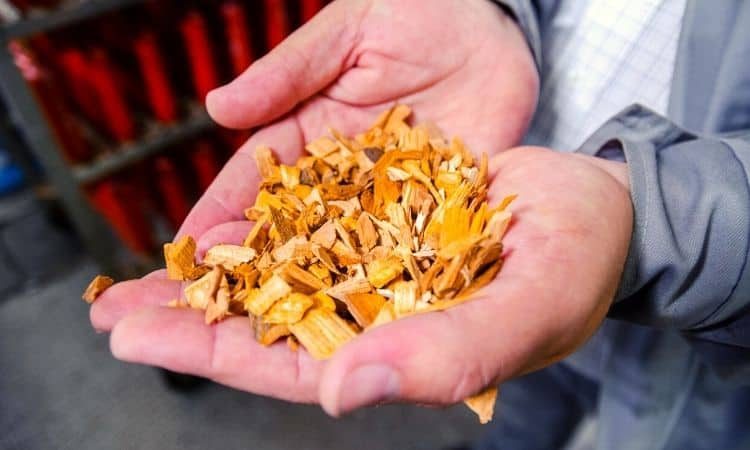 How Long to Soak Wood Chips for Smoking and Grilling